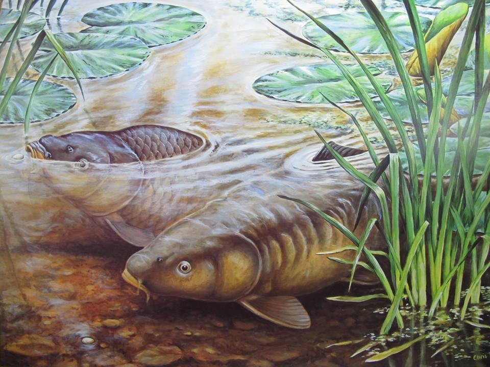 Diverse - 1381816423042114461990735449761n.jpg